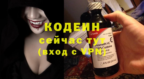 дживик Ладушкин