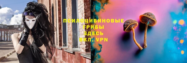 спайс Лабытнанги