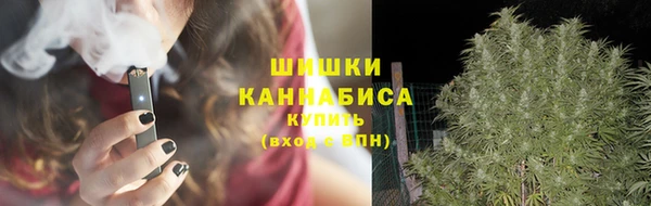 молекула духа Лагань