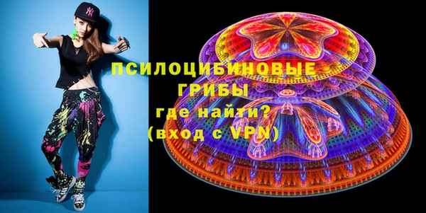 дживик Ладушкин
