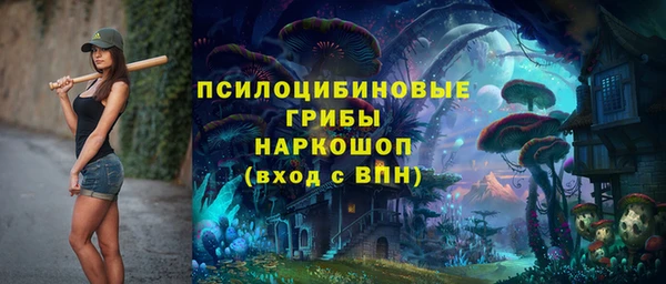 дживик Ладушкин