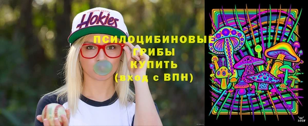 спайс Лабытнанги