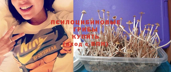 спайс Лабытнанги