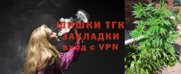молекула духа Лагань