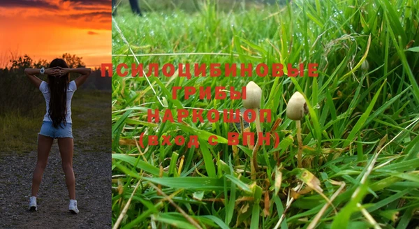 молекула духа Лагань