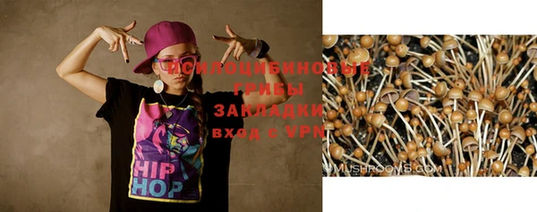 дживик Ладушкин
