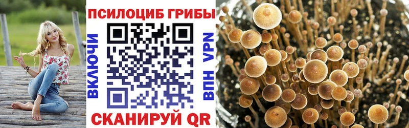 Псилоцибиновые грибы GOLDEN TEACHER  Купить где  Новохопёрск 