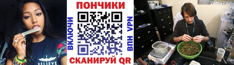 Бошки Шишки план  Купить закладки  Новохопёрск 